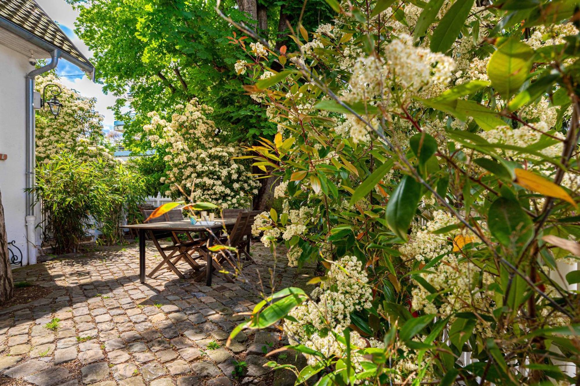 Grand & Classy Apartment With Private Garden, Villa Des Ammonites Meudon Exteriér fotografie